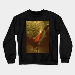 Poppy Crewneck Sweatshirt